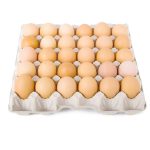 crate of egg